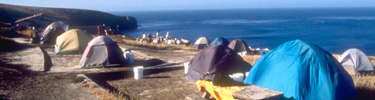 campground, santa barbara island   timhaufphotography.com