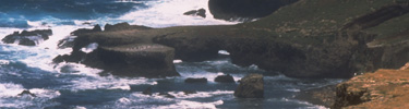 waves at webster point, santa barbara island   timhaufphotography.com
