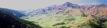 mt. dialblo, santa cruz island