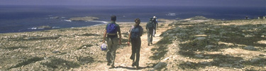 hiking to point bennett, san miguel island