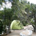 Site 37
