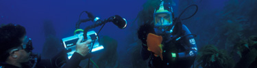 rangers conducting underwater video program, anacapa island