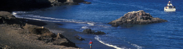 french's cove, anacapa island
