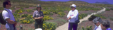 ranger talk, anacapa island
