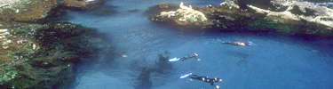 snorkeling at the landing cove, santa barbara island timhaufphotography.com