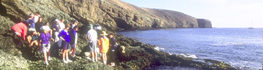 tidepooling santa barbara island