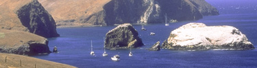 little scorpion and scorpion anchorages, santa cruz island timhaufphotography.com