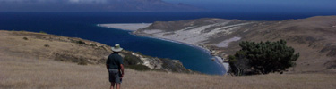 hiking above southeast anchorage, santa rosa island