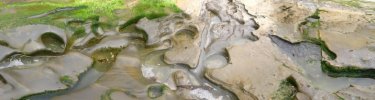 Santa Rosa Island tidepools (Rocky Rudolph)