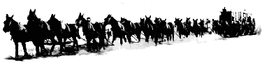The Twenty Mule Team