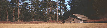 Barn at Ebey's Landing
