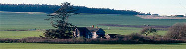 Farm