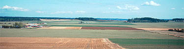 Farm