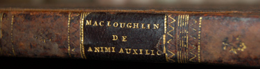 Image of spine of David McLoughlin dissertation