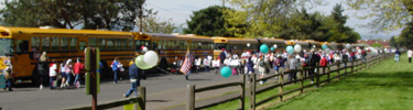 School busses bring students to the park