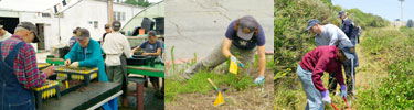 There are many drop-in volunteer opportunities available in the park.