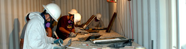 workers removing lead paint from historic ceiling tiles