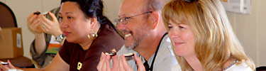 Teachers try Cookie Tectonics