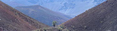 A trail winds between two red cindercones at a place called Pele's Paintpot.