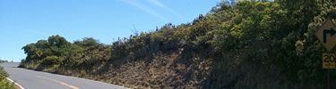Many switchbacks lead you to to summit by road.