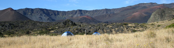 Blue tents show up bright against the golden shrubland at Holua Campground.