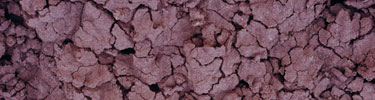 Up close view of the soil at painted the Painted Hills