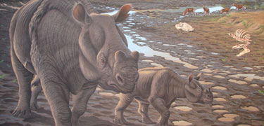 Image of an artist's rendition of a brontothere.