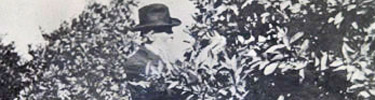 Muir looking at oranges (?)