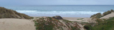 Oso Flaco beach along California coast near San Luis Obispo