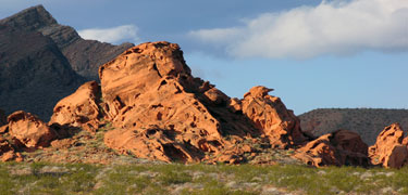 An example of Aztec sandstone viewed on Northshore Road