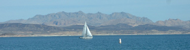 Sail boat on Lake Mead