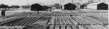 Victory gardens grow among the barracks. Photo by Dorothea Lange.