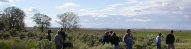 View from Minidoka