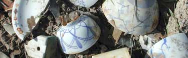Pottery Shards