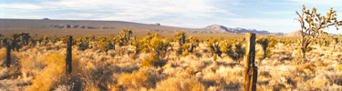 Photo of Cima Dome.