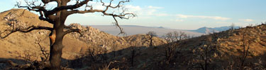 photo of Cima Dome as viewed from Mid Hills Campground.