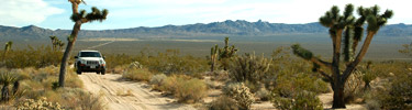 photo of jeep on dirt road