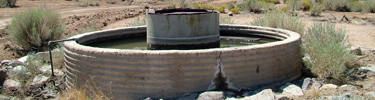 Government Holes