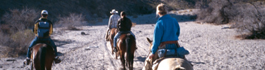 Photo of horse back riders.