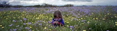 photo of girl in field of wildflowers