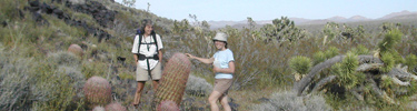 Photo of people with barrel cactus and joshua trees.