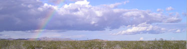 photo of rainbow over the desert