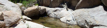 photo of brant spring
