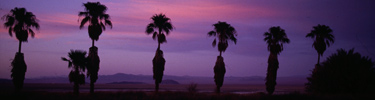 photo of Zzyzx at sunset