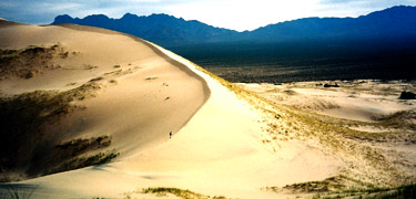 photo of kelso dunes