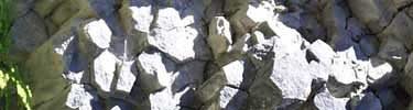 Andesite columns along Sunrise Road.