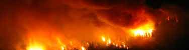 Wildland fire flames at night
