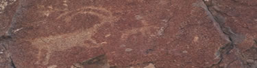 Many animals appear on petroglyphs at Buffalo Eddy, a site of Nez Perce National Historical Park