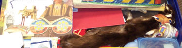 Nez Perce Traveling Trunk