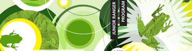 Cover of the Junior Ranger Activity Booklet- Pacific Treefrog